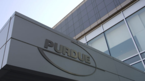 purdue pharma bankruptcy unseal reporters
